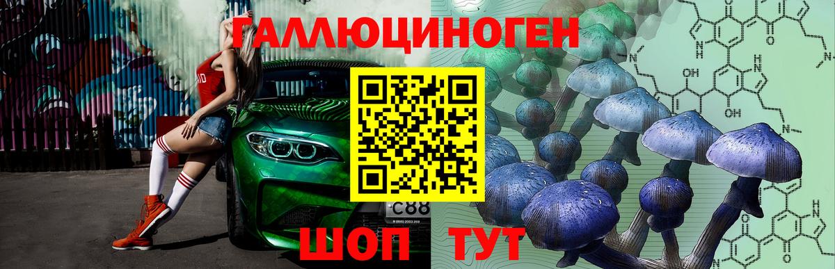 Псилоцибиновые грибы Cubensis Апрелевка