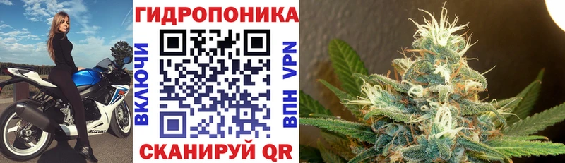 наркота  Апрелевка  Бошки марихуана марихуана 